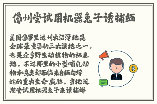 召唤恶魔是摘了眼镜的妈妈